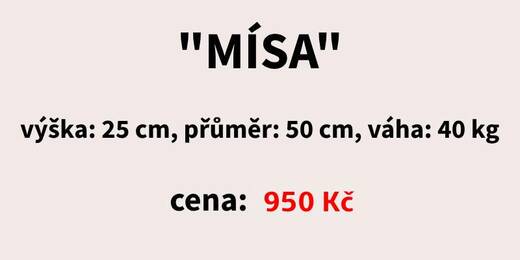 Mísa (2).jpg