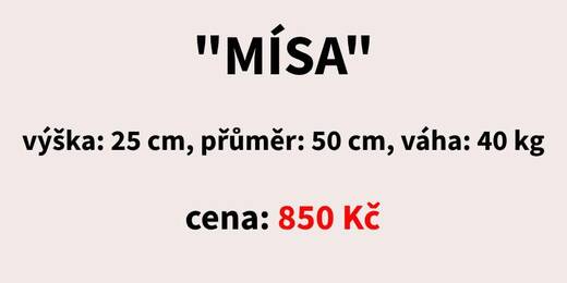 Mísa.jpg